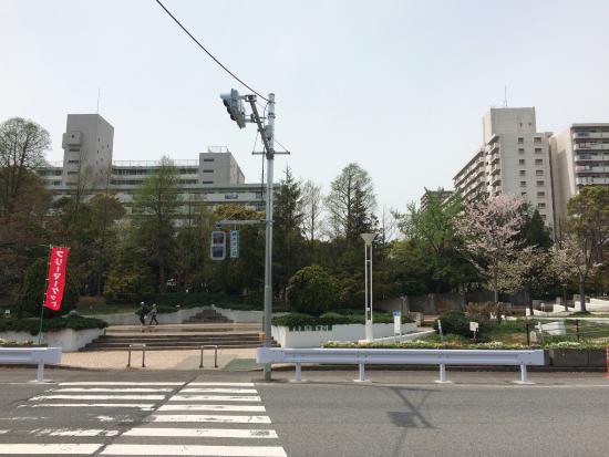 Shin Nagashima River Shinsui Park