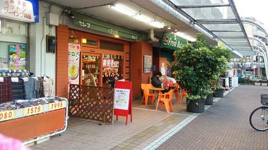 リヨン セレブ 西葛西店